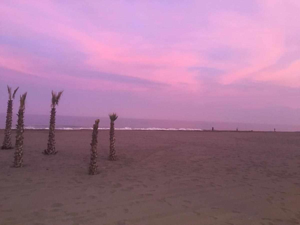 Chicflat San Roque Estepona Reformado En 2025 Экстерьер фото